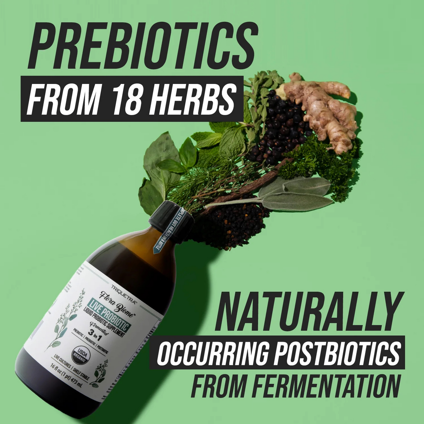 Live Probiotic