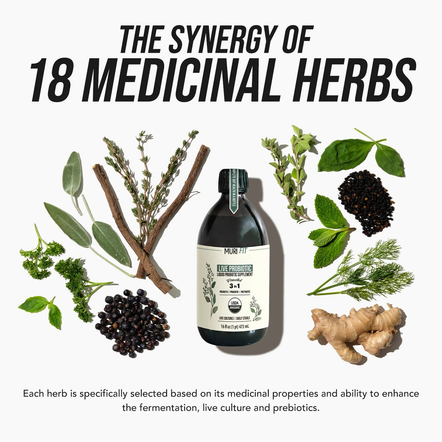 Live Probiotic