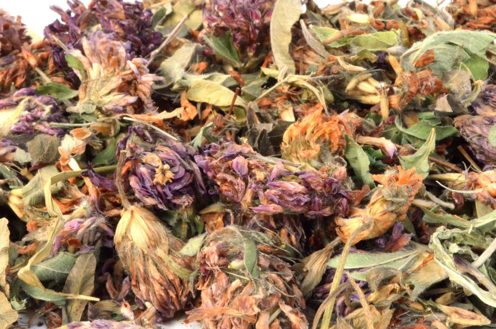 Red Clover