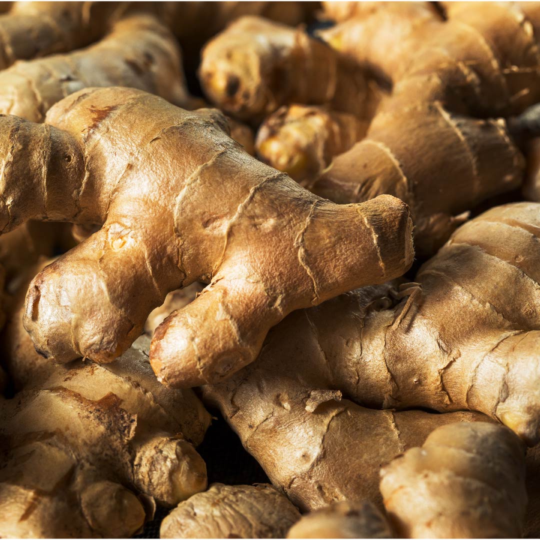 Ginger Root