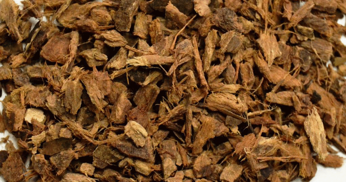 Bayberry Root Bark